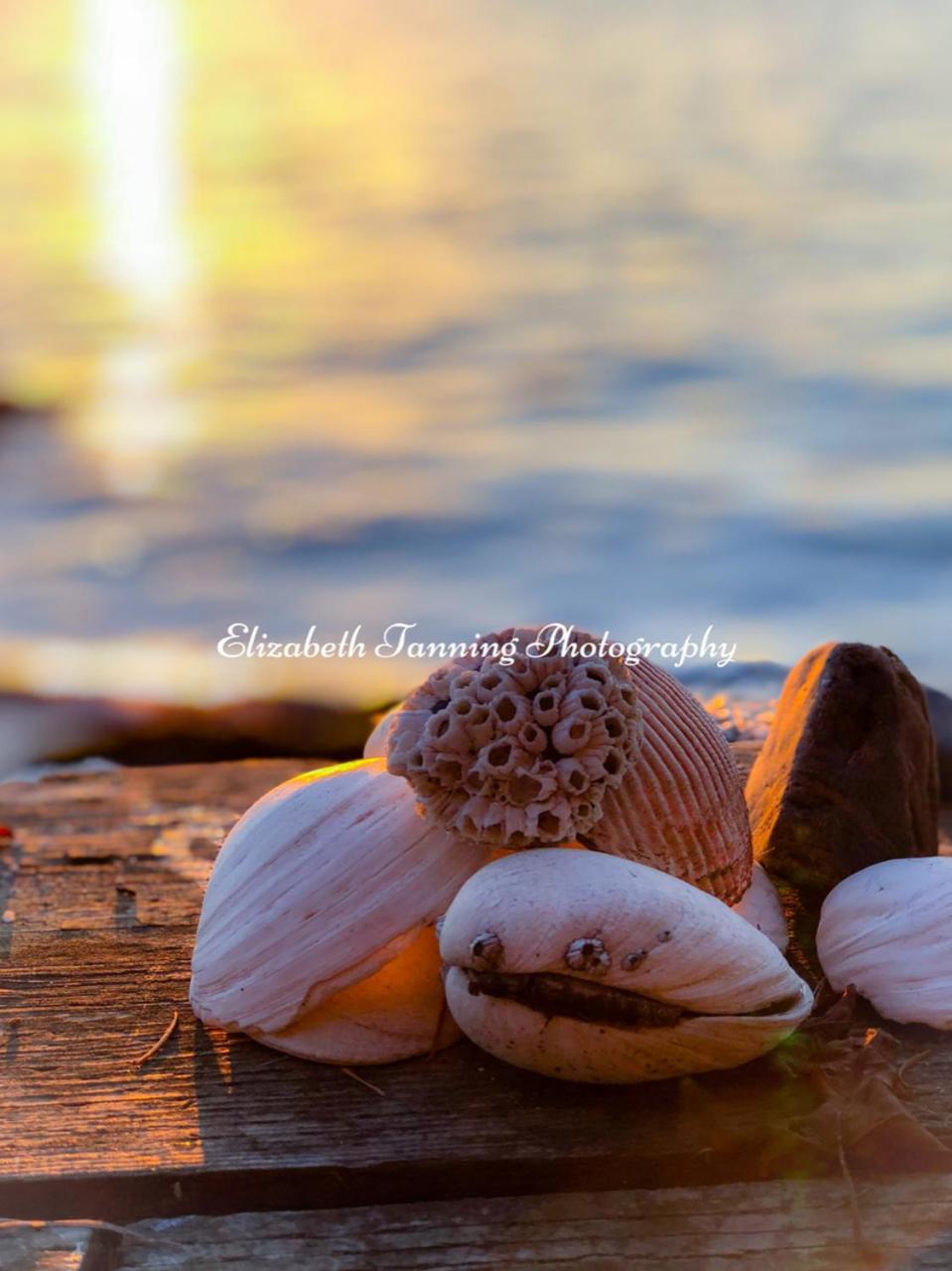 Sea Mist Waterfront B&B Camano Bagian luar foto